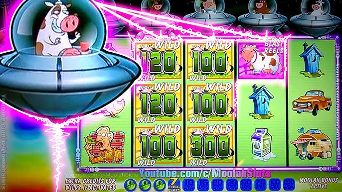 casino pokie mate